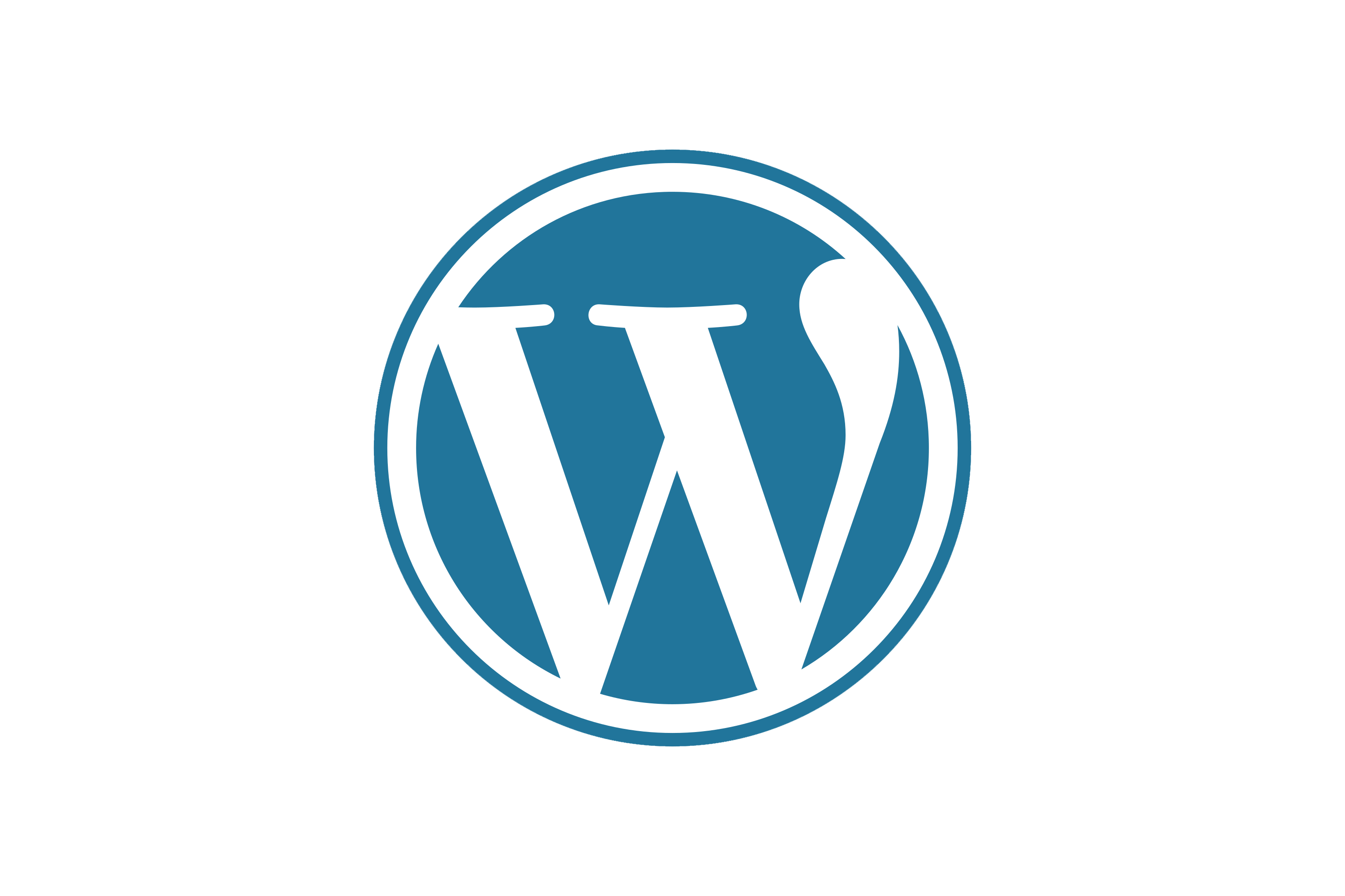 icona wordpress 